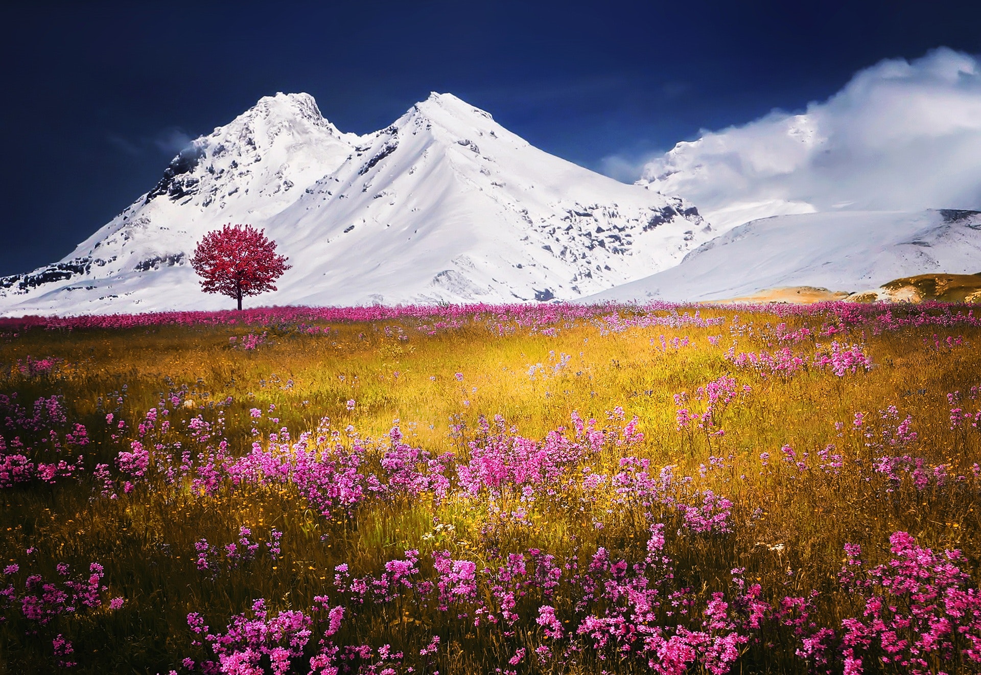 Norway